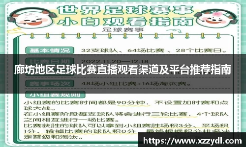 廊坊地区足球比赛直播观看渠道及平台推荐指南