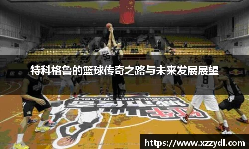 特科格鲁的篮球传奇之路与未来发展展望