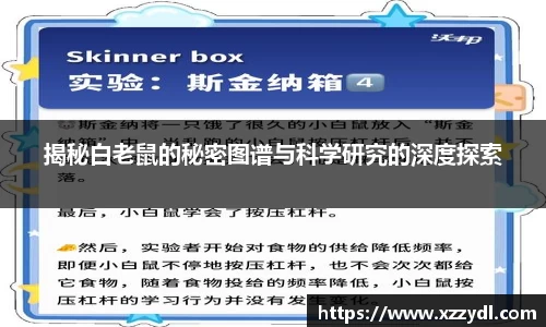 fun88乐天堂平台